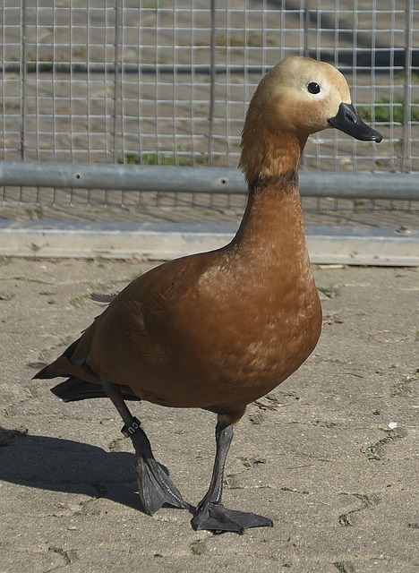 预防措施